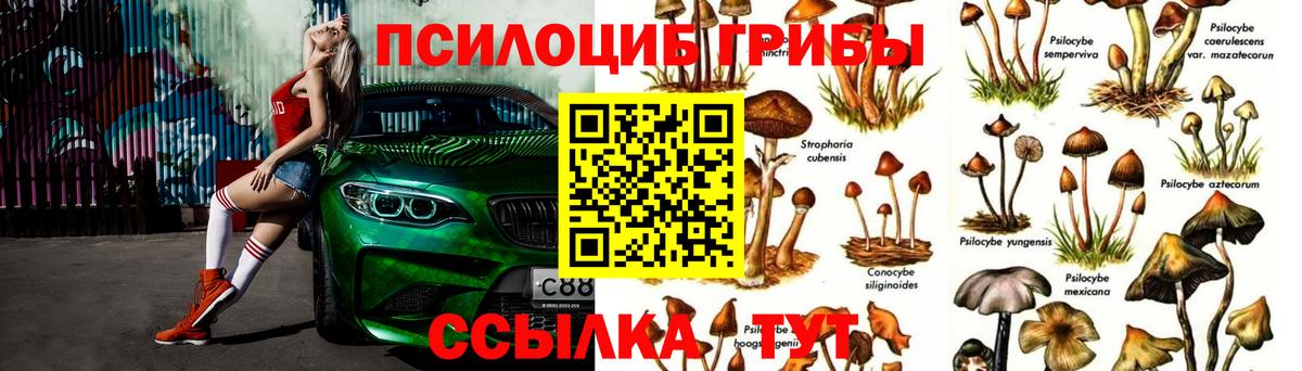 Псилоцибиновые грибы прущие грибы Королёв