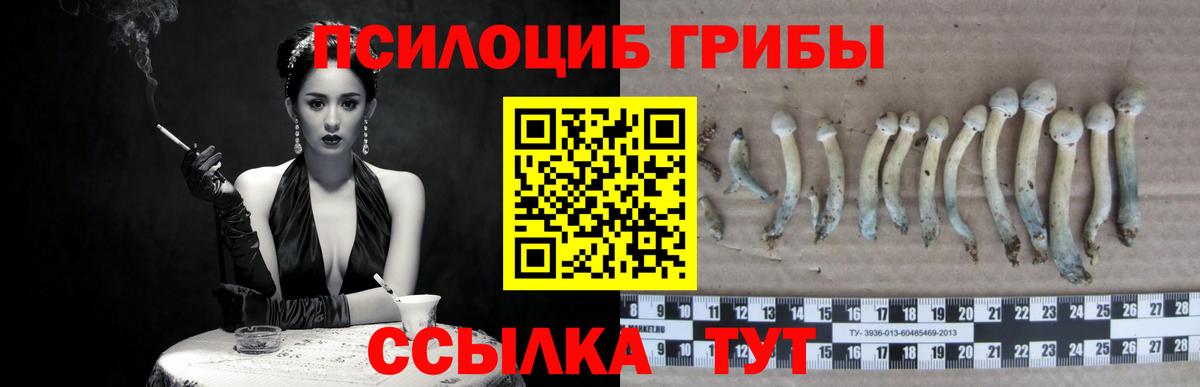 Королёв  Галлюциногенные грибы GOLDEN TEACHER  Вход с VPN  Галлюциногенные грибы MAGIC MUSHROOMS 